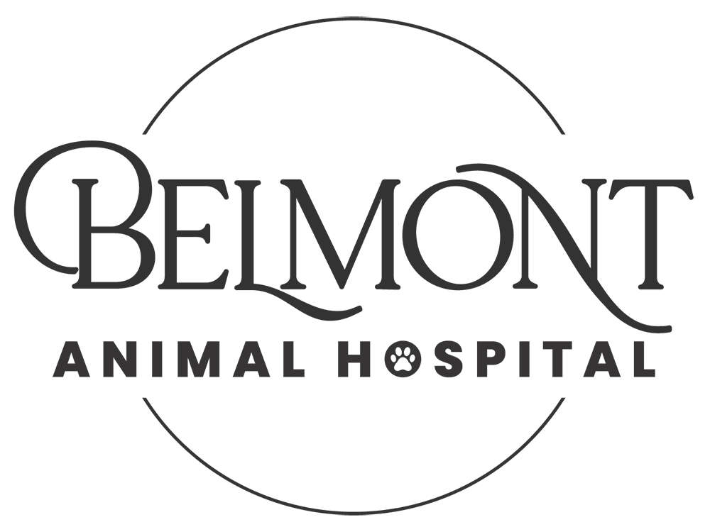 Belmont Animal Hospital logo