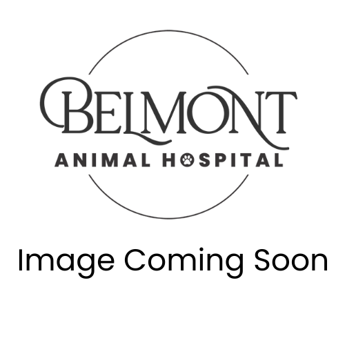 image-coming-soon-with-image